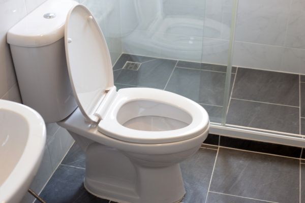 Toilet Replacement in Fallbrook