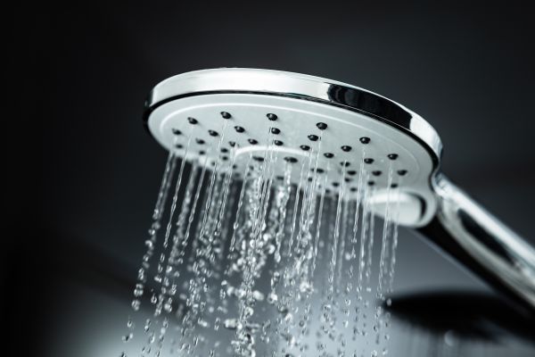 Cost of Shower Head Replacement in Fallbrook