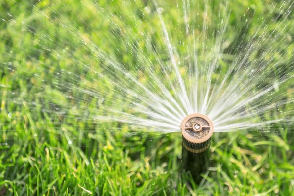 Cost of Spigot Installation in Fallbrook
