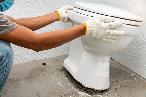 Cost of Toilet Removal in Fallbrook