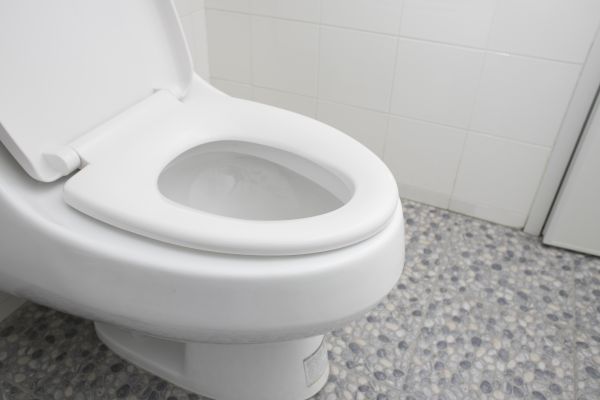 Cost of New Toilet Installation in Fallbrook